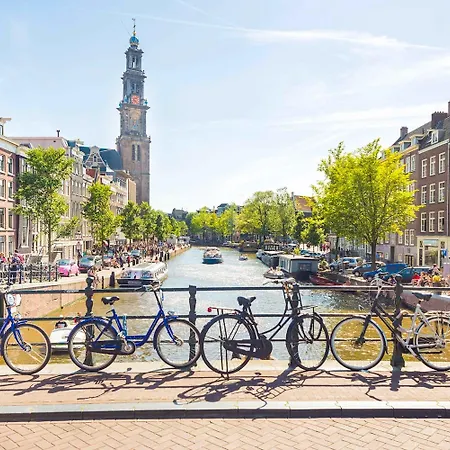 Flying Pig Downtown *