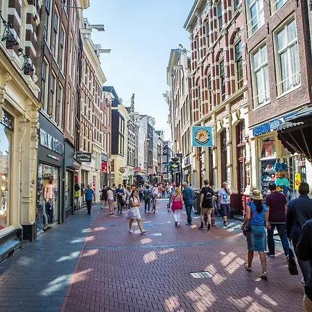 Flying Pig Downtown Amsterdam