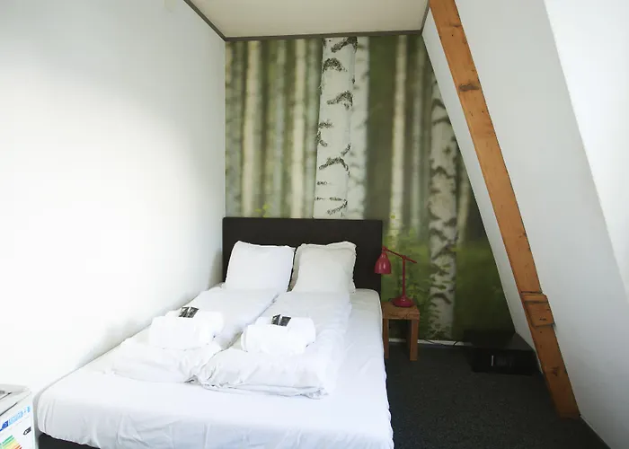 Hostel Flying Pig Downtown *