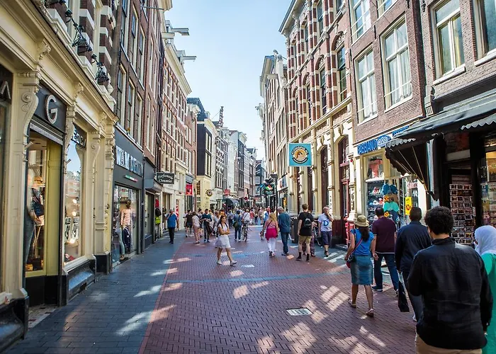 Flying Pig Downtown Amsterdam