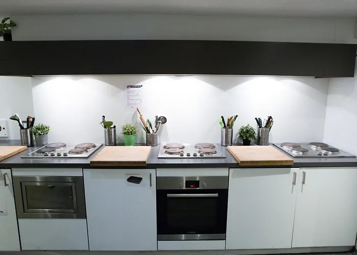 Flying Pig Downtown Hostel *