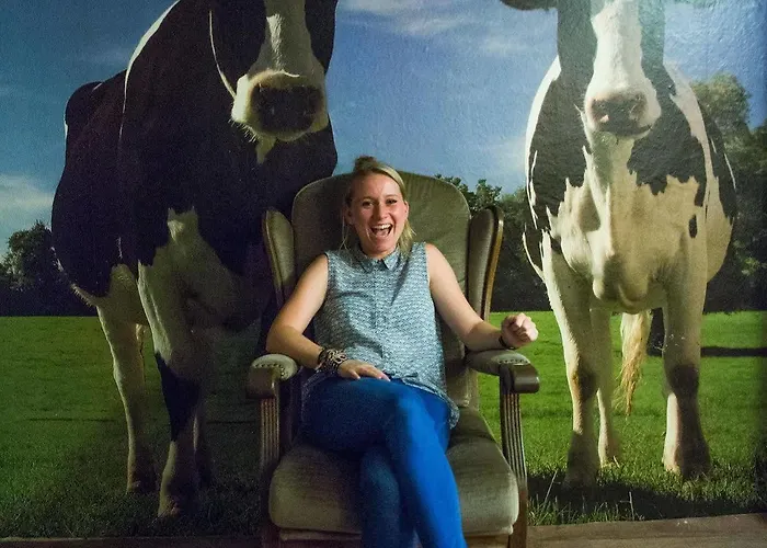 Flying Pig Downtown Auberge de jeunesse *