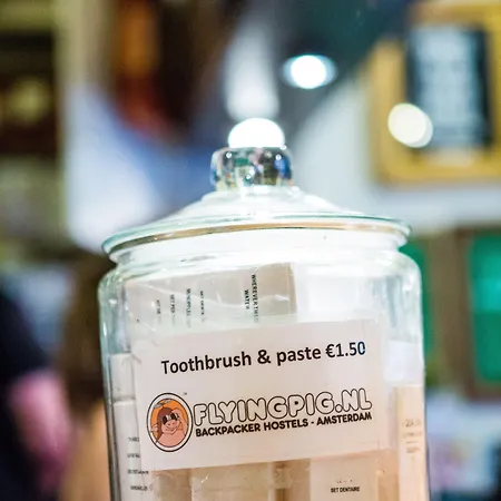 Flying Pig Downtown 호스텔 *