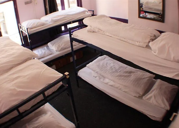 Flying Pig Downtown Hostel *